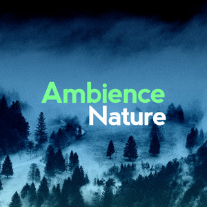 nature ambience