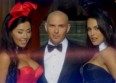 Pitbull se la joue Playboy pour "Wild Wild Love"