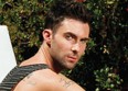 Maroon 5 : un clip et un nouveau single (màj)