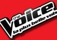 Un prof de la "Star Ac" au casting de "The Voice"