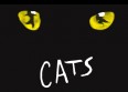"Cats" à Mogador : ronronnez de plaisir !