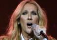Céline Dion : succès pour son concert à Malte