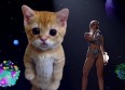 AMA's : Miley Cyrus chante avec... un chat