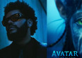 Avatar : la chanson de The Weeknd !