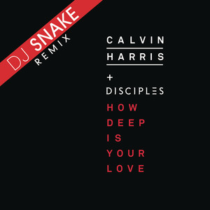 How Deep Is Your Love (DJ Snake R