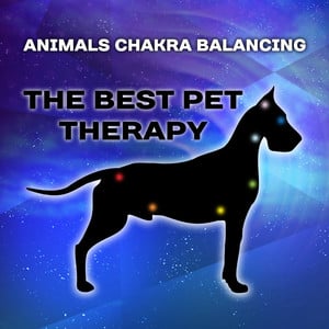 The Best Pet Therapy (Animals Cha