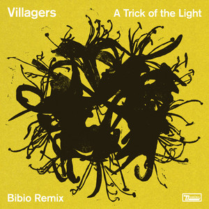 A Trick of the Light (Bibio Remix