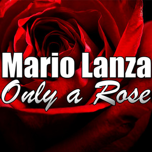 Only A Rose