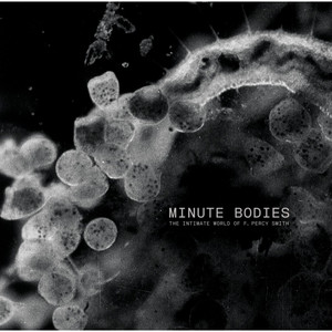 Minute Bodies: The Intimate World