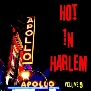 Hot In Harlem Vol. 9