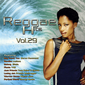 Reggae Hits Vol. 29