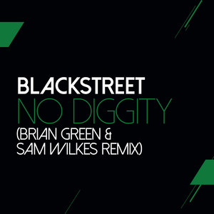 No Diggity (Sam Wilkes & Brian Gr