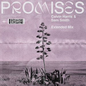 Promises (with Sam Smith) [Extend
