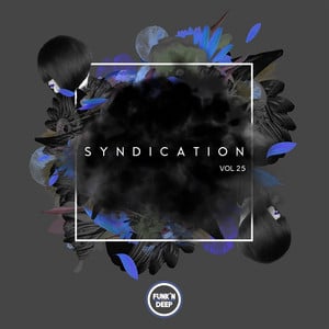 Syndication, Vol. 25