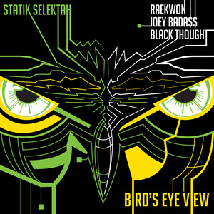 Bird's Eye View (feat. Raekwon, J