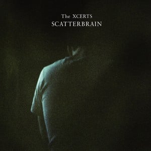 Scatterbrain