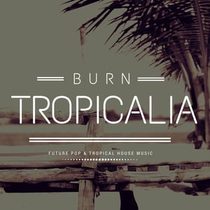 Burn Tropicalia (Future Pop and a