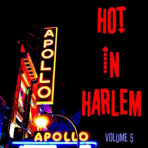 Hot In Harlem Vol. 5