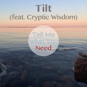 Tell Me What You Need (feat. Cryp