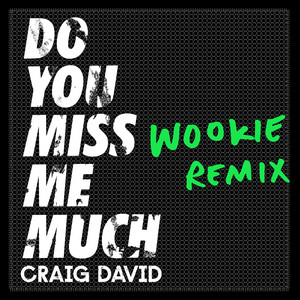 Do You Miss Me Much (Wookie Remix