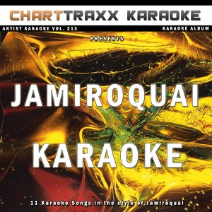 Artist Karaoke, Vol. 213 : Sing T