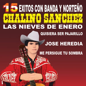 15 Éxitos Con Banda y Norteño