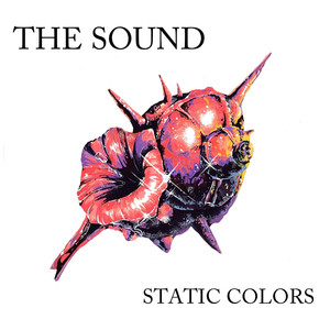 Static Colors