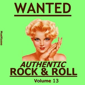 Wanted Authentic Rock & Roll