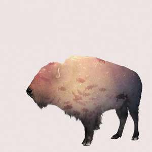 Buffalo