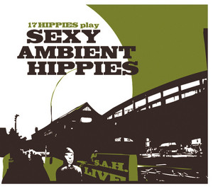 17 Hippies Play Sexy Ambient Hipp