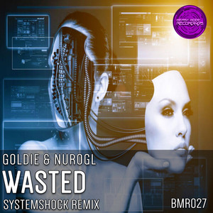 Wasted (SystemShock Remix)