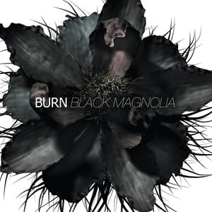 Black Magnolia