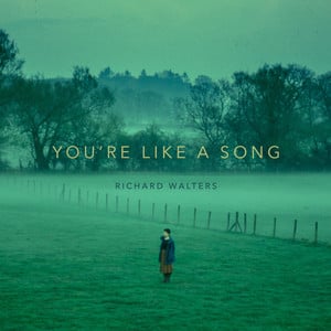 You're Like a Song (Instrumental)