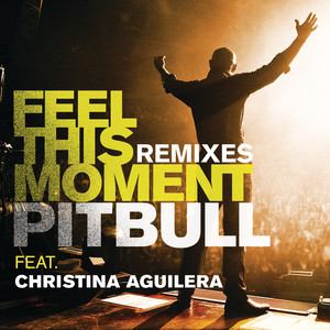 Feel This Moment Remixes