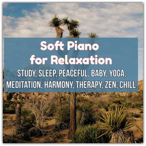 Soft Piano for Relaxation, Study,