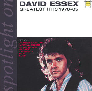 Spotlight On David Essex