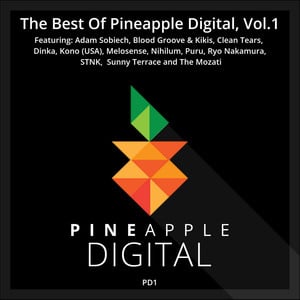 The Best of Pineapple Digital, Vo