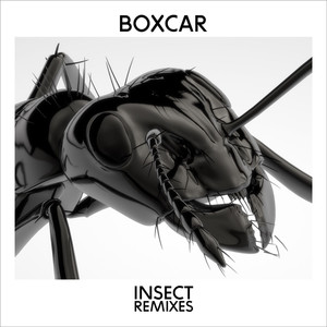 Insect (Remixes)