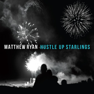 Hustle up Starlings