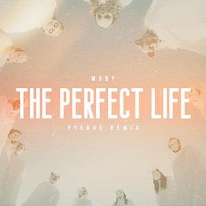 The Perfect Life (Pyerre Remix)