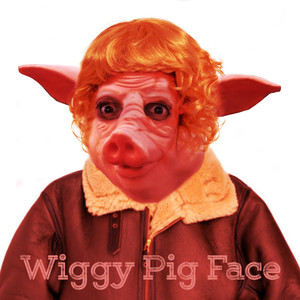 Wiggy Pig Face