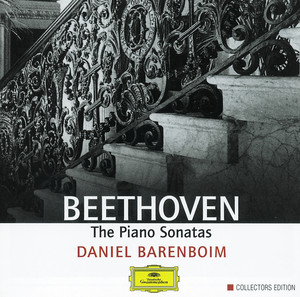 The Piano Sonatas