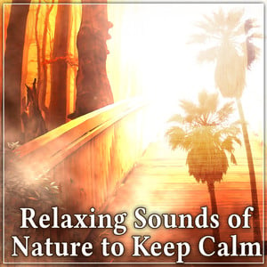 Serenity Music Relaxation - Relaxing Sounds of Nature to Keep Calm ...