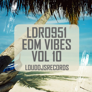 EDM Vibes, Vol. 10