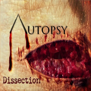 Dissection