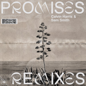 Promises (with Sam Smith) [Remixe