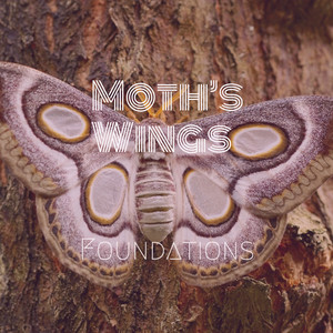 Moths Wings (Original)