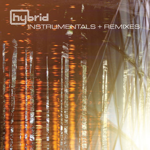 Instrumentals And Remixes