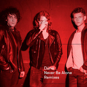 Never Be Alone (Remixes)