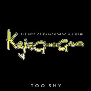 Too Shy: The Best Of Kajagoogoo &